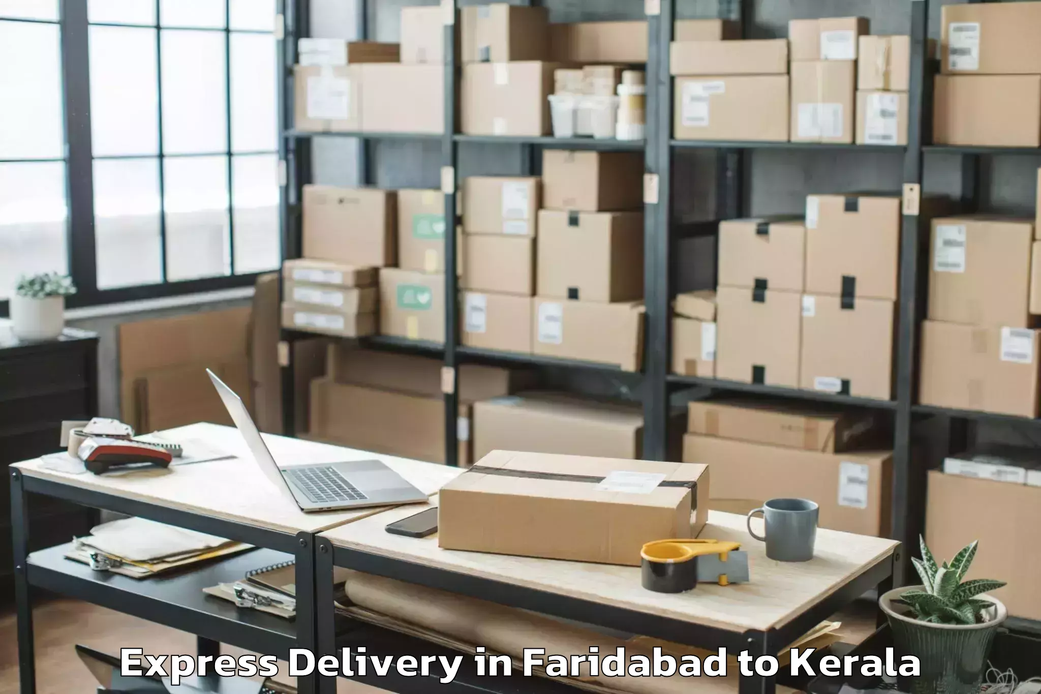 Affordable Faridabad to Cherpulassery Express Delivery